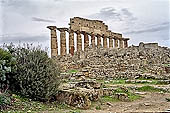 Selinunte Acropolis the majestic Doric columns of the temple C overlooking the Acropolis (VI c BC) raised with the method of anastylosis in the twentys. 